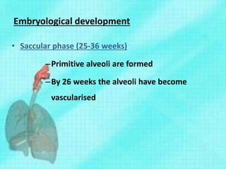 Embryological development
• Saccular phase (25-36 weeks)
–Primitive alveoli are formed
–By 26 weeks the alveoli have become
vascularised
 