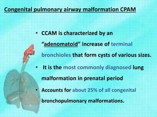 Congenital pulmonary airway malformation CPAM
• CCAM is characterized by an
“adenomatoid” increase of terminal
bronchioles that form cysts of various sizes.
• It is the most commonly diagnosed lung
malformation in prenatal period
• Accounts for about 25% of all congenital
bronchopulmonary malformations.
 