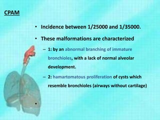 CPAM
• Incidence between 1/25000 and 1/35000.
• These malformations are characterized
– 1: by an abnormal branching of immature
bronchioles, with a lack of normal alveolar
development.
– 2: hamartomatous proliferation of cysts which
resemble bronchioles (airways without cartilage)
•
 