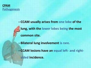 CPAM
Pathogenesis
–CCAM usually arises from one lobe of the
lung, with the lower lobes being the most
common site.
–Bilateral lung involvement is rare.
–CCAM lesions have an equal left- and right-
sided incidence.
 