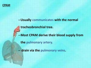 CPAM
–Usually communicates with the normal
tracheobronchial tree.
–Most CPAM derive their blood supply from
the pulmonary artery.
– drain via the pulmonary veins.
 