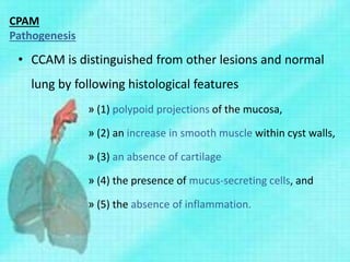 CPAM
Pathogenesis
• CCAM is distinguished from other lesions and normal
lung by following histological features
» (1) polypoid projections of the mucosa,
» (2) an increase in smooth muscle within cyst walls,
» (3) an absence of cartilage
» (4) the presence of mucus-secreting cells, and
» (5) the absence of inflammation.
 