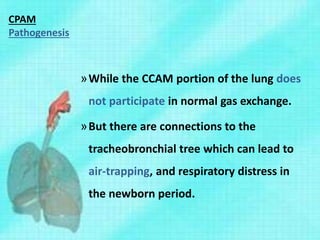 CPAM
Pathogenesis
»While the CCAM portion of the lung does
not participate in normal gas exchange.
»But there are connections to the
tracheobronchial tree which can lead to
air-trapping, and respiratory distress in
the newborn period.
 