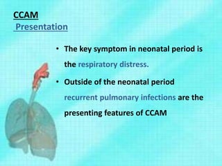 CCAM
Presentation
• The key symptom in neonatal period is
the respiratory distress.
• Outside of the neonatal period
recurrent pulmonary infections are the
presenting features of CCAM
 