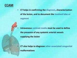 CCAM
• CT helps in confirming the diagnosis, characterization
of the lesion, and to document the involved lobe or
segment
• Intravenous contrast media must be used to define
the presence of any systemic arterial vessels
supplying the lesion
• CT also helps to diagnose other associated congenital
malformations
 
