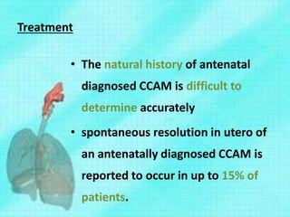Treatment
• The natural history of antenatal
diagnosed CCAM is difficult to
determine accurately
• spontaneous resolution in utero of
an antenatally diagnosed CCAM is
reported to occur in up to 15% of
patients.
 