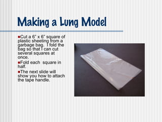 Making a Lung Model Cut a 6” x 6” square of plastic sheeting from a garbage bag.  I fold the bag so that I can cut several squares at once. Fold each  square in half.  The next slide will show you how to attach the tape handle. 
