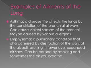 Examples of Ailments of the LungAsthma: a disease the affects the lungs by the constriction of the bronchial airways. Can cause violent spasms of the bronchi. Maybe caused by various allergens.Emphysema: a pulmonary condition that characterized by destruction of the walls of the alveoli resulting in fewer over expanded air sacs. Can be caused by smoking and sometimes the air you breathe.