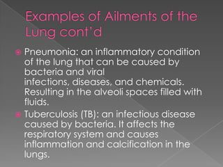 Examples of Ailments of the Lung cont’dPneumonia: an inflammatory condition of the lung that can be caused by bacteria and viral infections, diseases, and chemicals. Resulting in the alveoli spaces filled with fluids.Tuberculosis (TB): an infectious disease caused by bacteria. It affects the respiratory system and causes inflammation and calcification in the lungs.