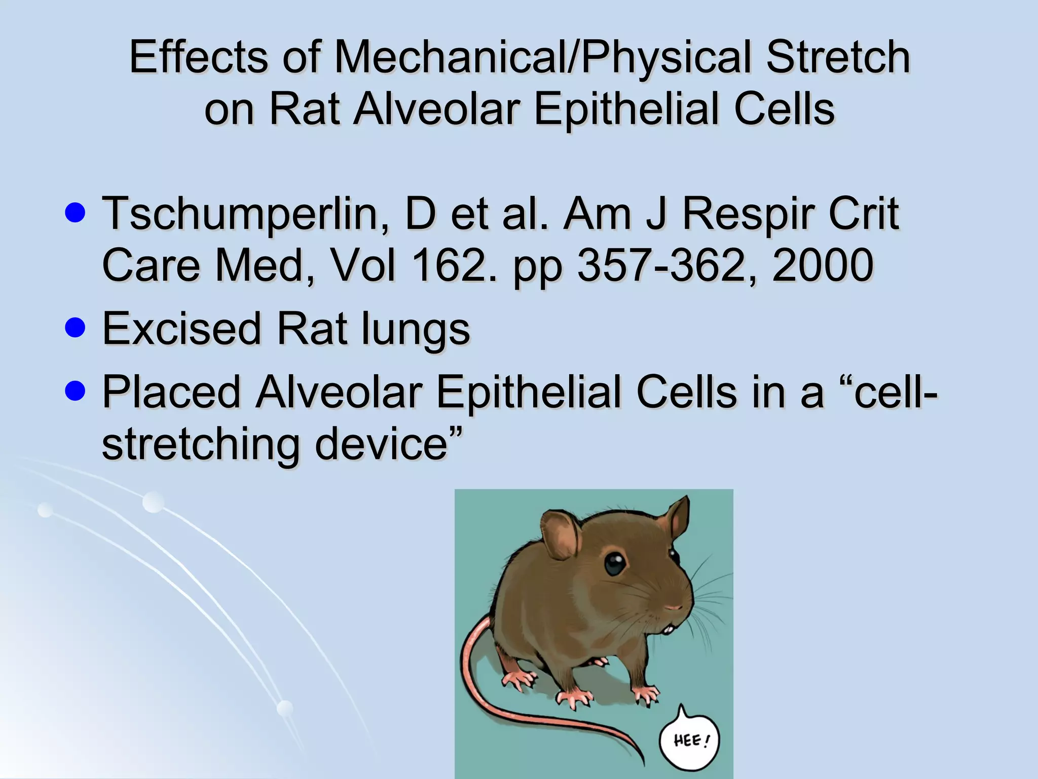Effects of Mechanical/Physical Stretch on Rat Alveolar Epithelial Cells Tschumperlin, D et al. Am J Respir Crit Care Med, Vol 162. pp 357-362, 2000 Excised Rat lungs  Placed Alveolar Epithelial Cells in a “cell-stretching device” 