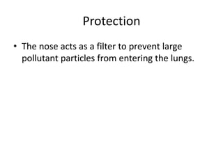ProtectionThe nose acts as a filter to prevent large pollutant particles from entering the lungs.