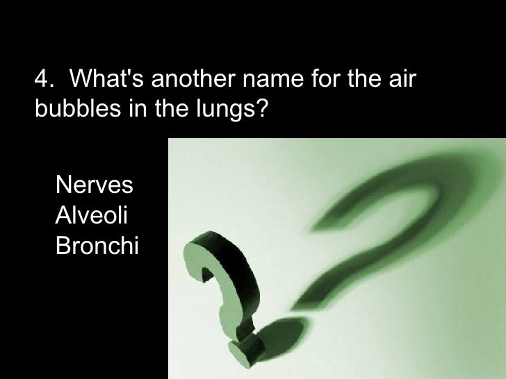 Lungs