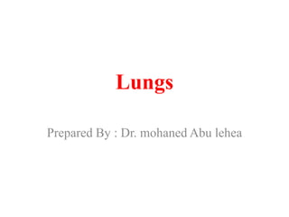 Lungs
Prepared By : Dr. mohaned Abu lehea

 