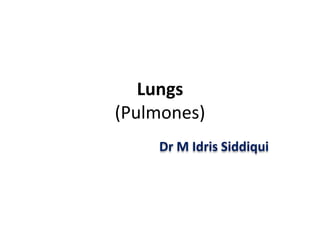 Lungs
(Pulmones)
Dr M Idris Siddiqui
 