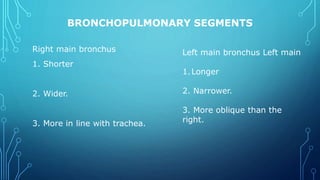 BRONCHOPULMONARY SEGMENTS
Right main bronchus
1. Shorter
2. Wider.
3. More in line with trachea.
Left main bronchus Left main
1.Longer
2. Narrower.
3. More oblique than the
right.
 