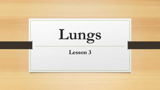 Lungs
Lesson 3
 