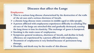 Diseases that affect the Lungs
Emphysema.
 This is a serious lung disease characterized by the destruction of the walls
of the air sacs and a serious shortness of breath.
 a chronic lung disease more common in middle-aged or older people.
 A person afflicted with emphysema experiences difficulty in exhaling.The
air sacs of the lungs are stretched thin and gradually destroyed, causing
the lung tissue to lose its elasticity. The exchange of gases is hampered.
 Smoking is the main cause of emphysema.
 Symptoms: general weakness, shortness of breath, and decline in body
efficiency are experienced by a person afflicted with emphysema.
 Treatment of emphysema is very limited because of permanent lung
damage.
 Disability and death may be the results of this disease.
 