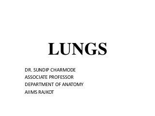 LUNGS
DR. SUNDIP CHARMODE
ASSOCIATE PROFESSOR
DEPARTMENT OF ANATOMY
AIIMS RAJKOT
 