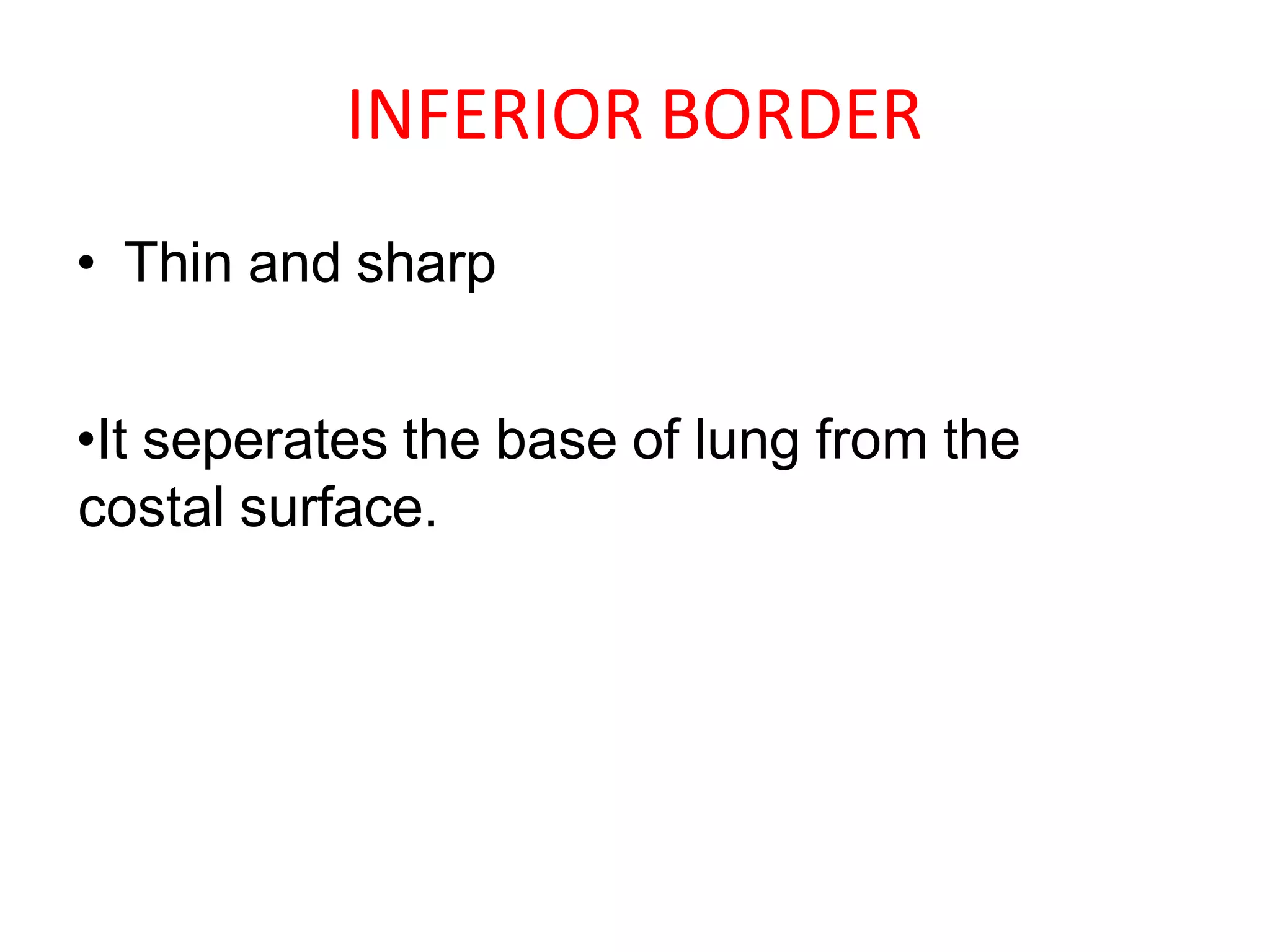 INFERIOR BORDER
• Thin and sharp
•It seperates the base of lung from the
costal surface.
 
