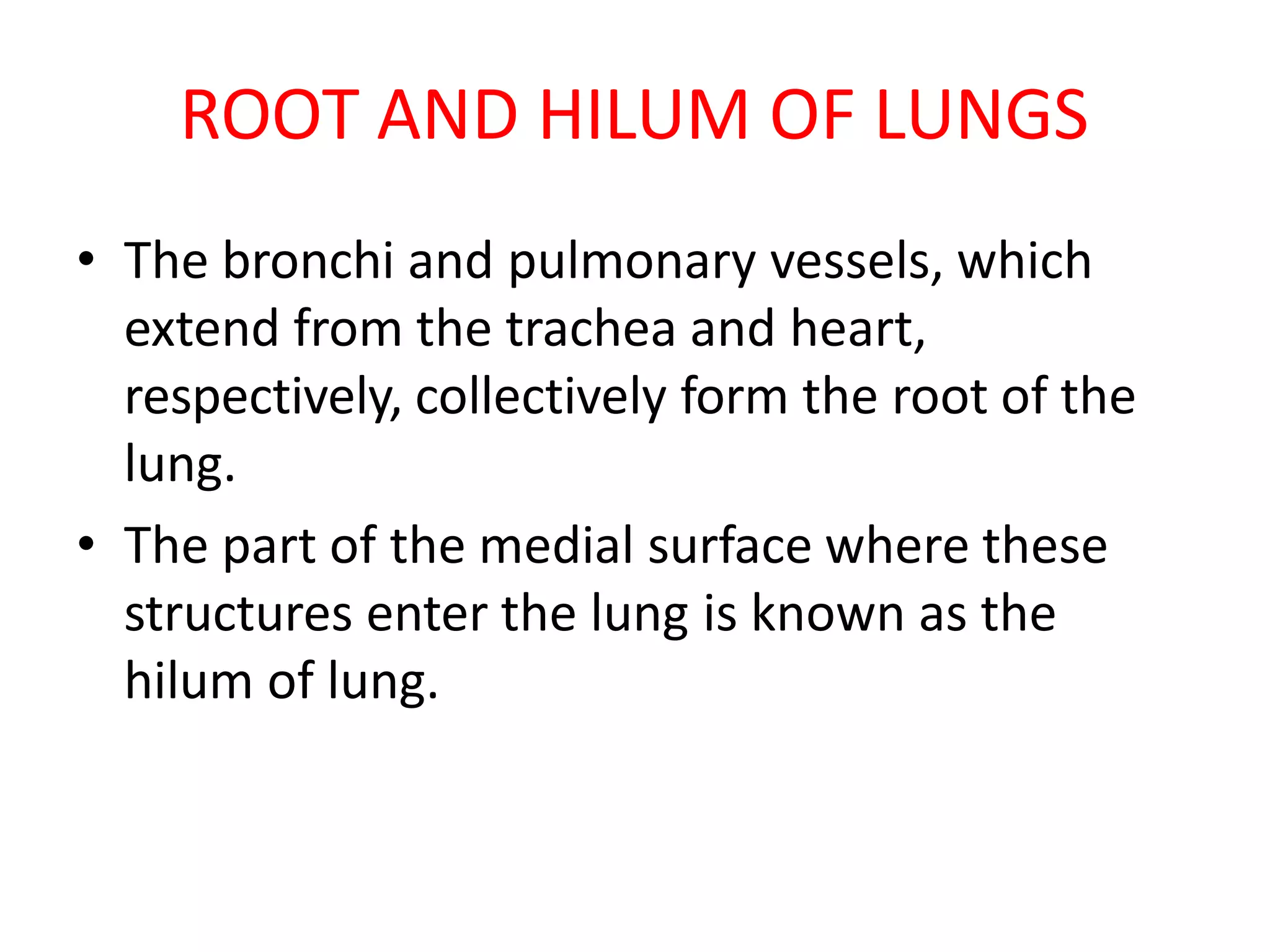ROOT AND HILUM OF LUNGS
• The bronchi and pulmonary vessels, which
extend from the trachea and heart,
respectively, collectively form the root of the
lung.
• The part of the medial surface where these
structures enter the lung is known as the
hilum of lung.
 