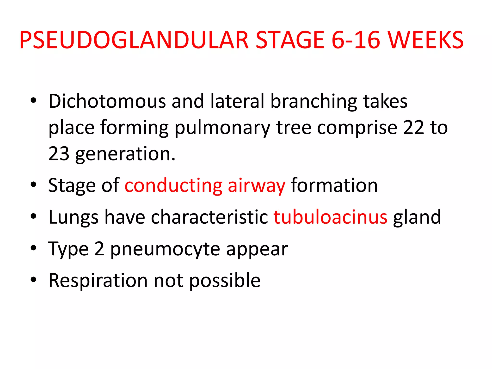 PSEUDOGLANDULAR STAGE 6-16 WEEKS
• Dichotomous and lateral branching takes
place forming pulmonary tree comprise 22 to
23 generation.
• Stage of conducting airway formation
• Lungs have characteristic tubuloacinus gland
• Type 2 pneumocyte appear
• Respiration not possible
 