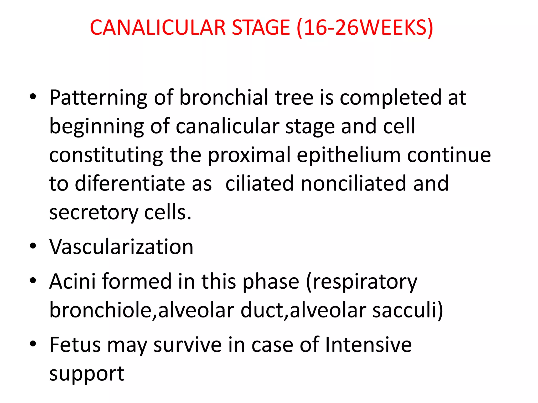 CANALICULAR STAGE (16-26WEEKS)
• Patterning of bronchial tree is completed at
beginning of canalicular stage and cell
constituting the proximal epithelium continue
to diferentiate as ciliated nonciliated and
secretory cells.
• Vascularization
• Acini formed in this phase (respiratory
bronchiole,alveolar duct,alveolar sacculi)
• Fetus may survive in case of Intensive
support
 