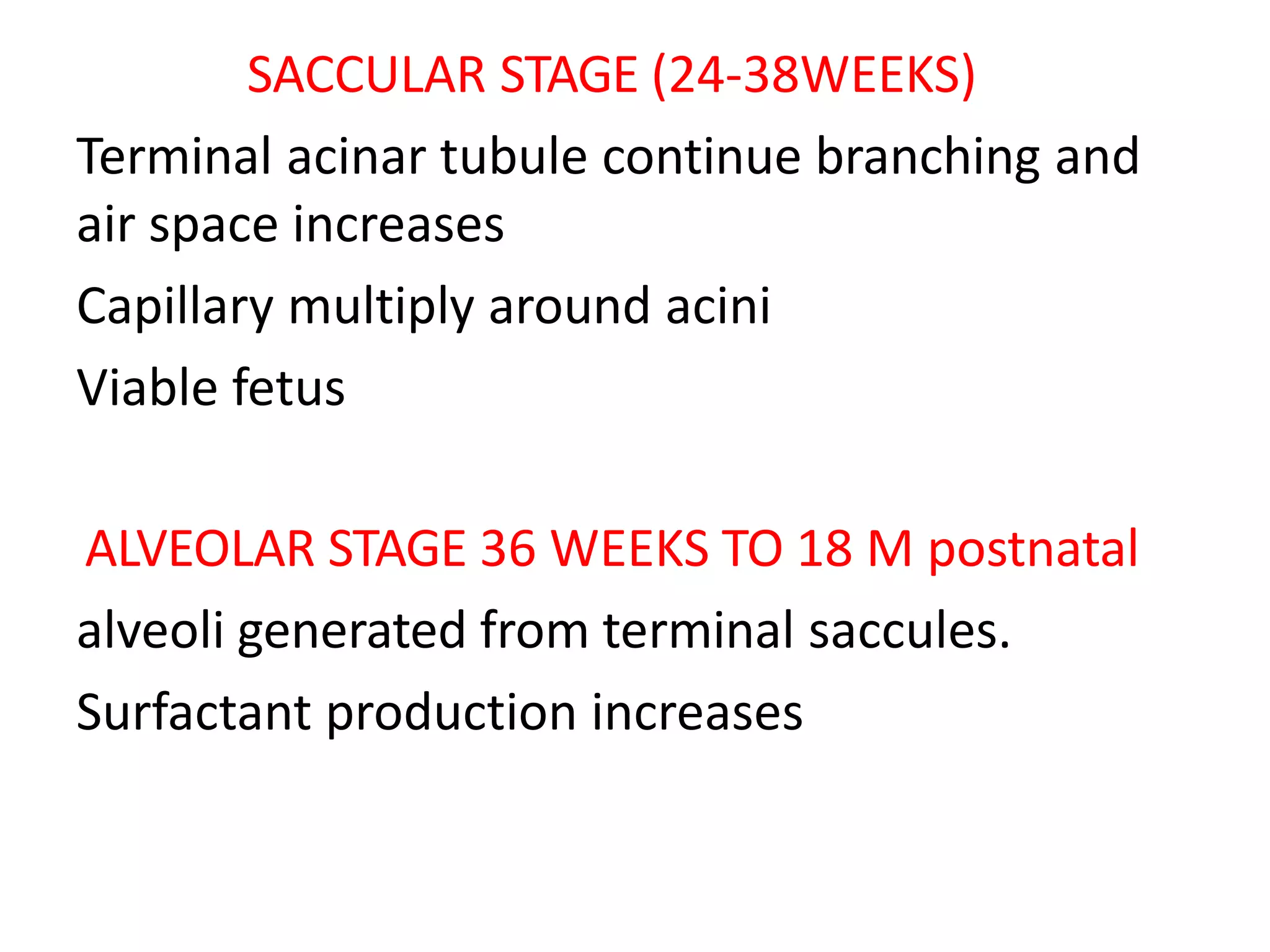 SACCULAR STAGE (24-38WEEKS)
Terminal acinar tubule continue branching and
air space increases
Capillary multiply around acini
Viable fetus
ALVEOLAR STAGE 36 WEEKS TO 18 M postnatal
alveoli generated from terminal saccules.
Surfactant production increases
 