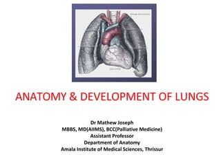 ANATOMY & DEVELOPMENT OF LUNGS
Dr Mathew Joseph
MBBS, MD(AIIMS), BCC(Palliative Medicine)
Assistant Professor
Department of Anatomy
Amala Institute of Medical Sciences, Thrissur
 