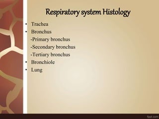 Respiratory systemHistology
• Trachea
• Bronchus
-Primary bronchus
-Secondary bronchus
-Tertiary bronchus
• Bronchiole
• Lung
 