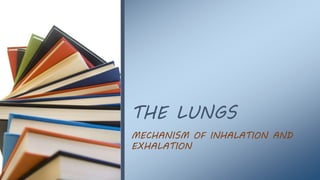 THE LUNGS
MECHANISM OF INHALATION AND
EXHALATION
 