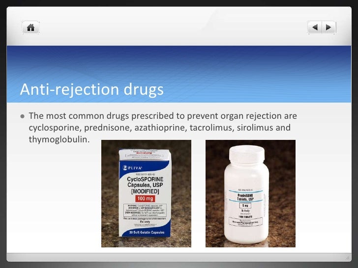 Lungs (amy t, alexis s, sam m)