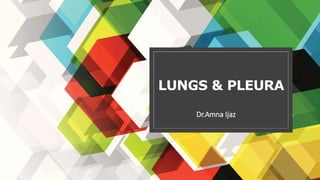LUNGS & PLEURA
Dr.Amna Ijaz
 