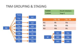 T1 - T2 T3 - T4
N1 IIb IIIa
N2 IIIa IIIb
N3 IIIb IIIc
N0
T1mi
T1a
Ia1
T1b Ia2
T1c Ia3
T2a Ib
T2b IIa
T3 IIb
T4 IIIa
M
M1 IVa
M2 IVa
M3 IVb
TNM GROUPING & STAGING
TxN0M0 Occult metastasis
TisN0M0 Stage 0
 