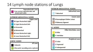 14 Lymph node stations of Lungs
 