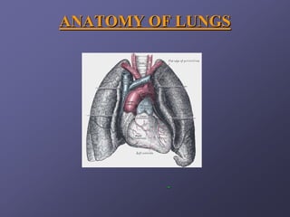ANATOMY OF LUNGS
ANATOMY OF LUNGS
-
-
 