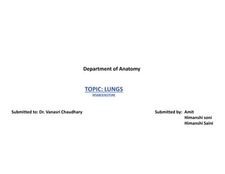 Department of Anatomy
TOPIC: LUNGS
M56BOOKSTORE
Submitted to: Dr. Vanasri Chaudhary Submitted by: Amit
Himanshi soni
Himanshi Saini
 