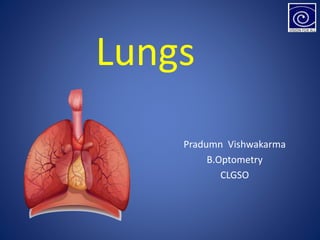 Lungs
Pradumn Vishwakarma
B.Optometry
CLGSO
 