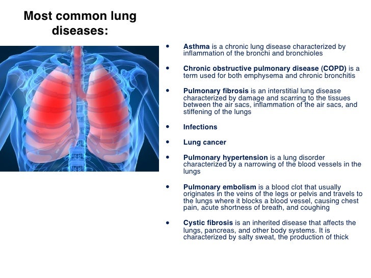 Lungs Presentation