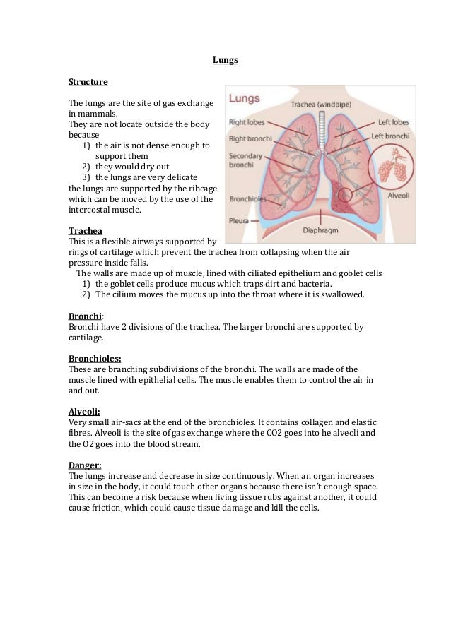 download the official patients sourcebook