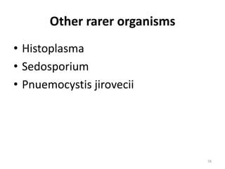 Other rarer organisms
• Histoplasma
• Sedosporium
• Pnuemocystis jirovecii
58
 