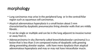 Comprehensive Overview of Lung Tumors: Types, Causes, and Clinical ...