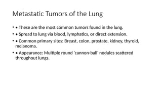 Comprehensive Overview of Lung Tumors: Types, Causes, and Clinical ...