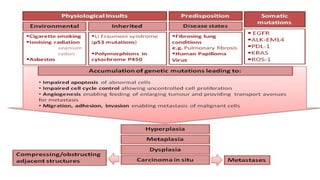 Comprehensive Overview of Lung Tumors: Types, Causes, and Clinical ...