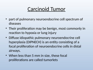 Comprehensive Radiological Overview of Lung Tumors and Thoracic ...