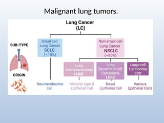 Comprehensive Radiological Overview of Lung Tumors and Thoracic ...