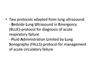 Lev Protocol Songraph Lung ultrasound | PPTX