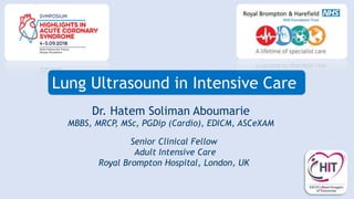 Lung Ultrasound in Intensive Care
Senior Clinical Fellow
Adult Intensive Care
Royal Brompton Hospital, London, UK
Dr. Hatem Soliman Aboumarie
MBBS, MRCP, MSc, PGDip (Cardio), EDICM, ASCeXAM
 