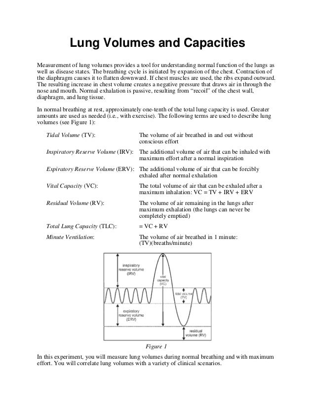 Lung Volumes And Capacities