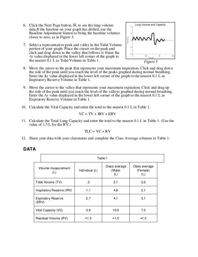 Lung Volumes And Capacities