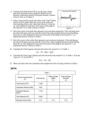 6. Click the Next Page button, , to see the lung volume
    data.If the baseline on your graph has drifted, use the
    Baseline Adjustment feature to bring the baseline volumes
    closer to zero, as in Figure 3.

 7. Select a representative peak and valley in the Tidal Volume
    portion of your graph. Place the cursor on the peak and
    click and drag down to the valley that follows it. Enter the
      y value displayed in the lower left corner of the graph to
    the nearest 0.1 L as Tidal Volume in Table 1.                               Figure 3
 8. Move the cursor to the peak that represents your maximum inspiration. Click and drag down
    the side of the peak until you reach the level of the peaks graphed during normal breathing.
    Enter the y value displayed in the lower left corner of the graph to the nearest 0.1 L as
    Inspiratory Reserve Volume in Table 1.

 9. Move the cursor to the valley that represents your maximum expiration. Click and drag up
    the side of the peak until you reach the level of the valleys graphed during normal breathing.
    Enter the y value displayed in the lower left corner of the graph to the nearest 0.1 L as
    Expiratory Reserve Volume in Table 1.

10. Calculate the Vital Capacity and enter the total to the nearest 0.1 L in Table 1.
                                     VC = TV + IRV + ERV
11. Calculate the Total Lung Capacity and enter the total to the nearest 0.1 L in Table 1. (Use the
    value of 1.5 L for the RV.)
                                         TLC = VC + RV
12. Share your data with your classmates and complete the Class Average columns in Table 1.

 DATA
                                                   Table 1

                                                        Class average    Class average
           Volume measurement
                                      Individual (L)        (Male)         (Female)
                   (L)
                                                              (L)             (L)

         Tidal Volume (TV)               1.038

         Inspiratory Reserve (IRV)        2.99

         Expiratory Reserve              1.176
         (ERV)

         Vital Capacity (VC)             5.204

         Residual Volume (RV)             ≈1.5               ≈1.5             ≈1.5
 